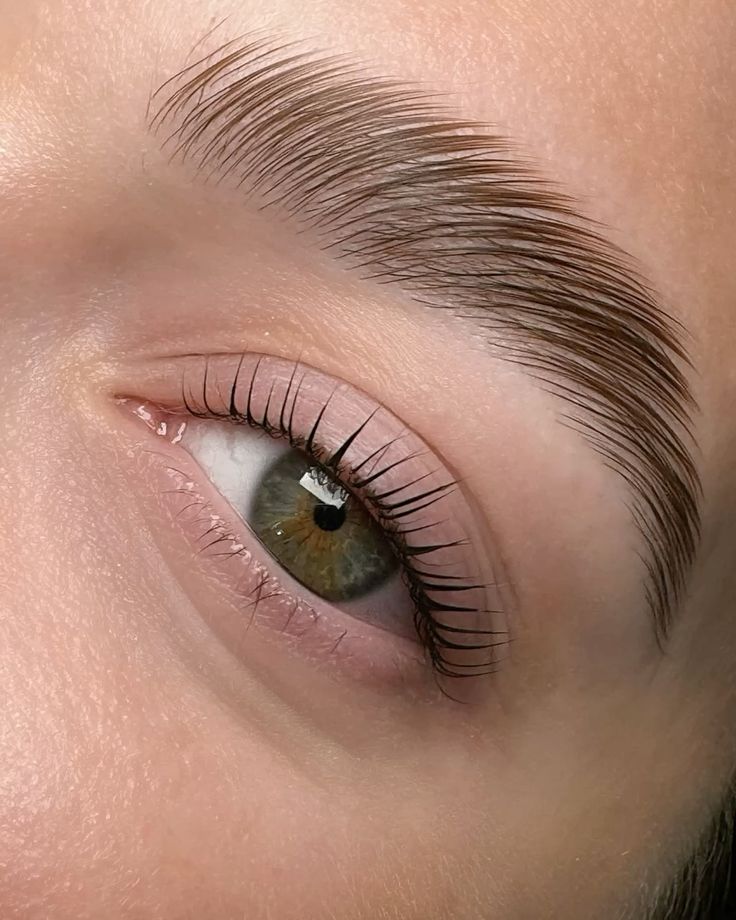 Laminado de Cejas
